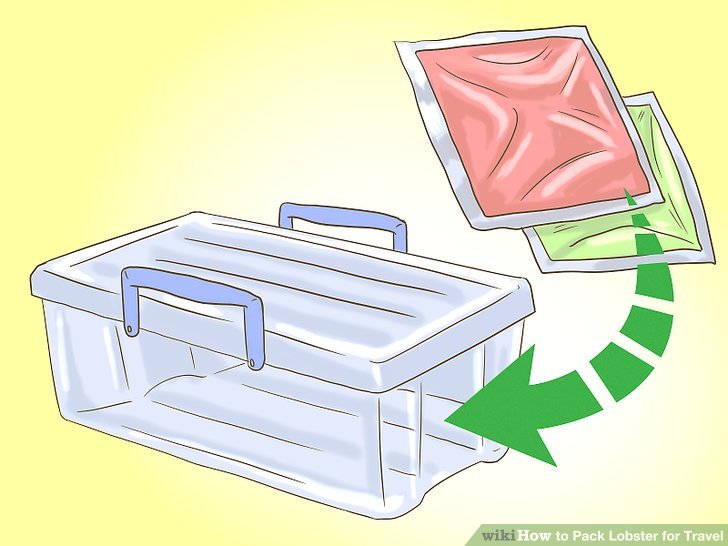 How to Pack Lobster for Travel